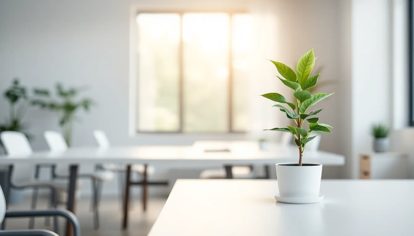 2025년, 장시간 앉아 일하는 당신을 위한 건강 지침: 5가지 꿀팁 1