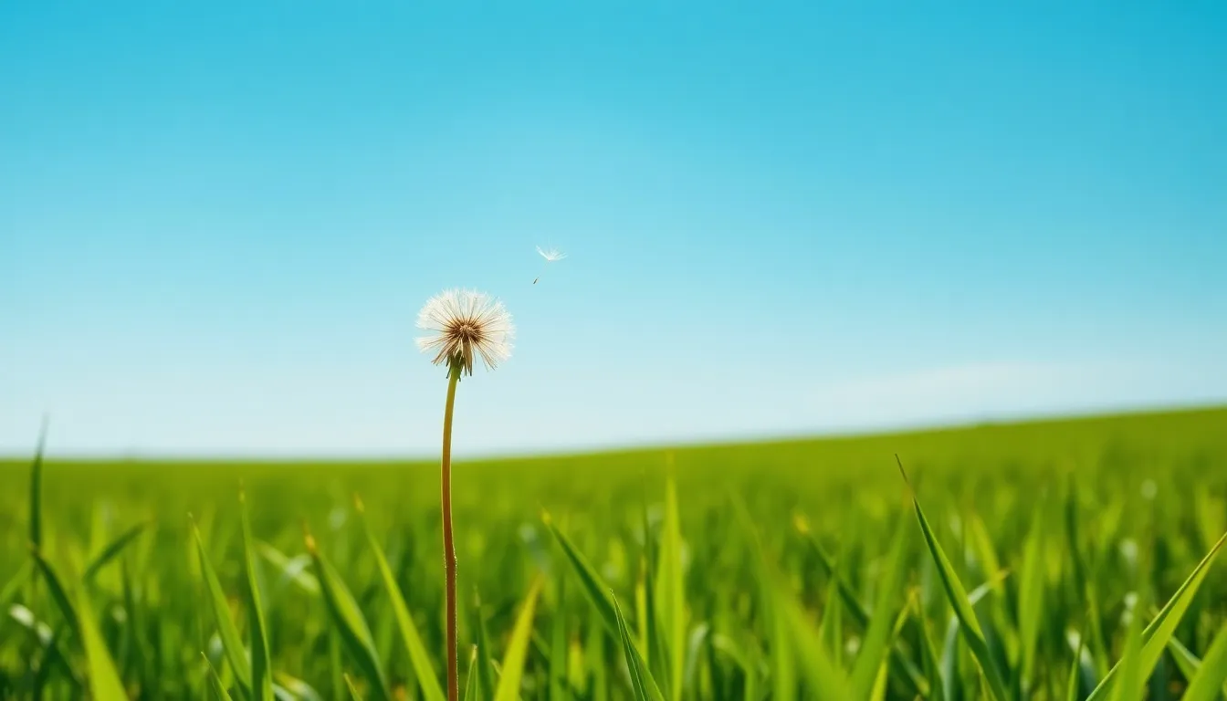 2025년 건강 블로그 성공 전략: 초보자를 위한 맞춤형 건강 관리 가이드